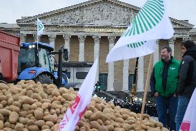 Farmers Dump 30 Tonnes of Potatoes on The Concorde Bridge - Paris