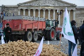 Farmers Dump 30 Tonnes of Potatoes on The Concorde Bridge - Paris