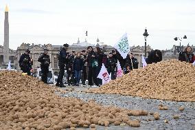 Farmers Dump 30 Tonnes of Potatoes on The Concorde Bridge - Paris