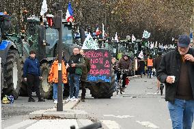 Farmers Protest in Front Of The National Assembly - Paris