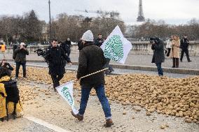 Farmers Dump 30 Tonnes of Potatoes on The Concorde Bridge - Paris
