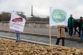 Farmers Dump 30 Tonnes of Potatoes on The Concorde Bridge - Paris