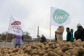 Farmers Dump 30 Tonnes of Potatoes on The Concorde Bridge - Paris