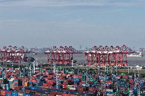 Shanghai Port Container Foreign Trade Terminal