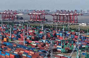 Shanghai Port Container Foreign Trade Terminal