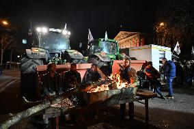 Farmers protest in front of the National Assembly - Paris