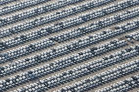 Chinese Vehicles Export