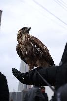 League Match - Erbil SC v Rival Team