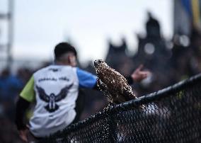 League Match - Erbil SC v Rival Team