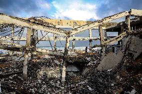 4 Palestinians Killed as Heavy Rains, Strong Winds Sweep Across Area - Gaza