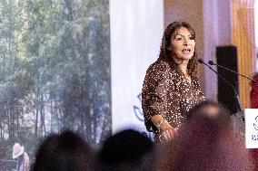 Paris' Mayor delivers a speech for the 2026 whishes - Paris AJ