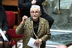 Session of Questions to The Government - Paris