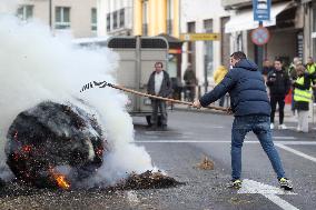Protest Against Mercosur Agreement - Spain