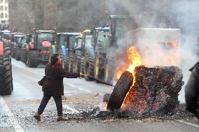 Protest Against Mercosur Agreement - Spain