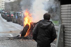 Protest Against Mercosur Agreement - Spain