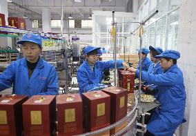 Liquor Manufacturing in Sanmenxia