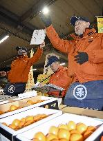 Year's 1st kumquat auction in Japan