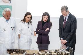 Spanish Royals Save The Pictures Project - Valencia