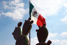 Nopalera Exhibition In Main Square Zocalo - Mexico City