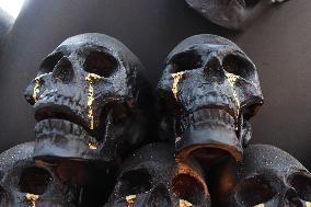 Nopalera Exhibition In Main Square Zocalo - Mexico City