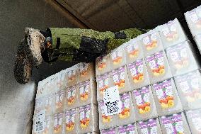 Blockade of Power Stations and Control of Shipments - Montauban