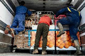 Blockade of Power Stations and Control of Shipments - Montauban