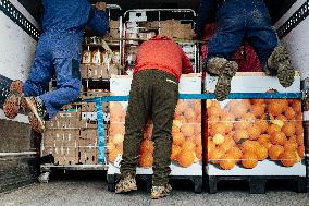 Blockade of Power Stations and Control of Shipments - Montauban