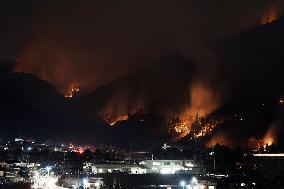 Wildfire in Yamanashi Pref.