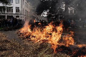 Farmers Protest Against CAP and Mercosur Cuts - Spain