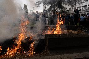 Farmers Protest Against CAP and Mercosur Cuts - Spain