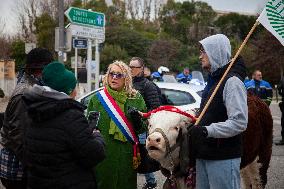 Farmers Protest - Aix-en-Provence