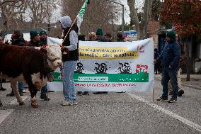 Farmers Protest - Aix-en-Provence