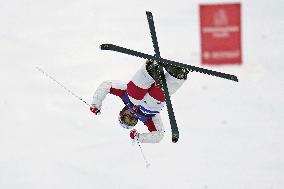 Freestyle skiing: Horishima at World Cup