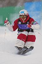 Freestyle skiing: Horishima at World Cup