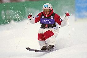 Freestyle skiing: Horishima at World Cup