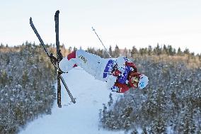Freestyle skiing: Horishima at World Cup