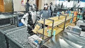 Humanoid Robot Training Ground