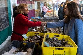 Paris Mayor Candidate Sarah Knafo Campaigning - France