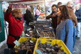 Paris Mayor Candidate Sarah Knafo Campaigning - France