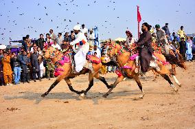 Local Annual Horse And Cattle Show - Pakistan