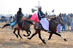 Local Annual Horse And Cattle Show - Pakistan