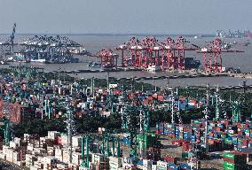Shanhai Port Container Trade Terminal