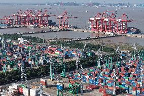 Shanhai Port Container Trade Terminal