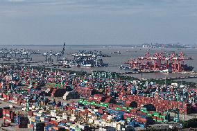 Shanhai Port Container Trade Terminal