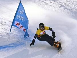 Snowboard: World Cup