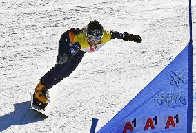 Snowboard: World Cup