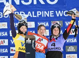 Snowboard: World Cup