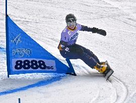 Snowboard: World Cup