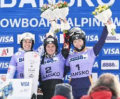 Snowboard: World Cup