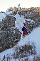 Freestyle skiing: World Cup in U.S.